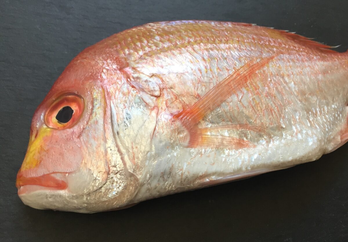  Sea Bream Extract