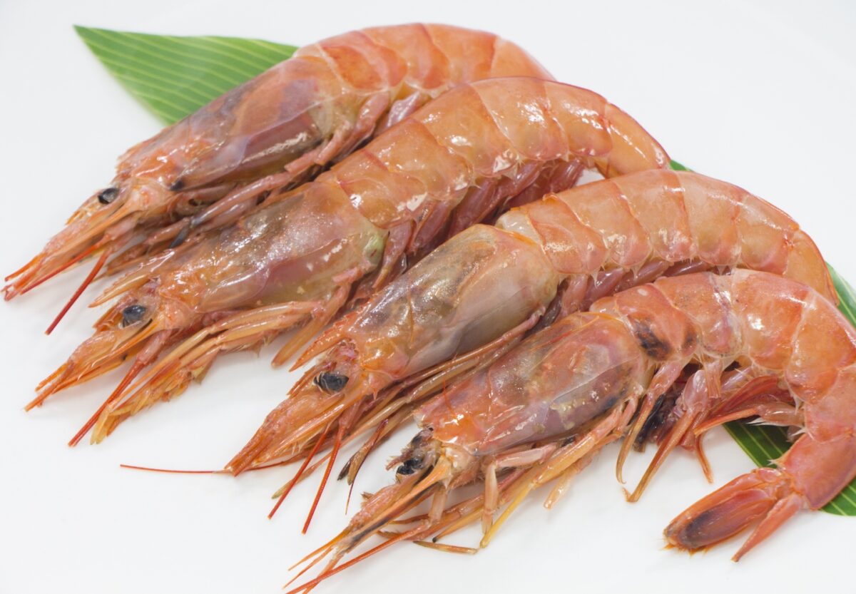  Shrimp Extract