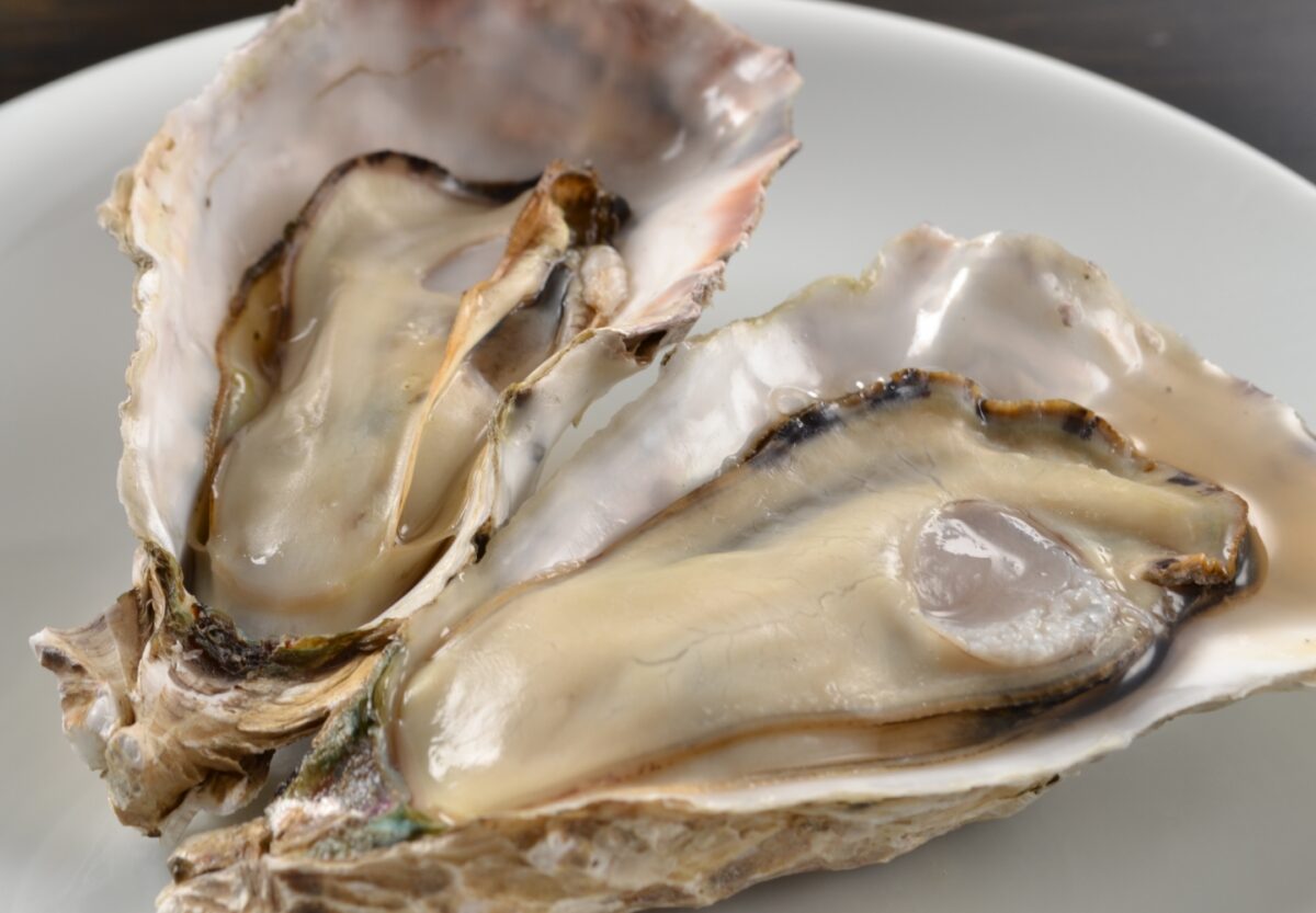  Oyster Extract