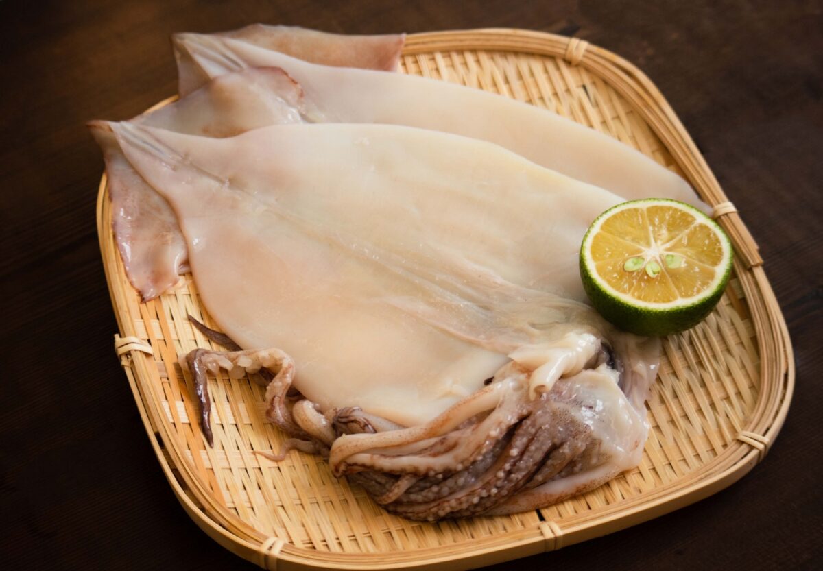  Squid Extract